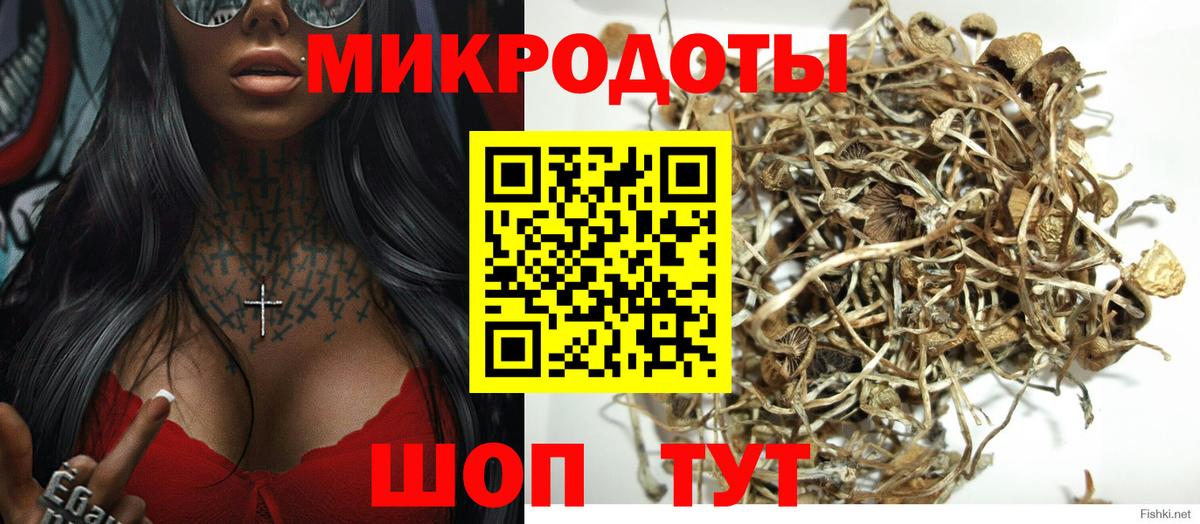 Галлюциногенные грибы Cubensis  Вход с VPN  Камень-на-Оби 