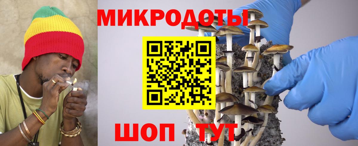 Галлюциногенные грибы Psilocybine cubensis Камень-на-Оби